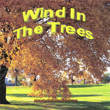 Soundscape Wind In The Trees Relaxation Meditation Deep Sleeping Stress Reliefing Calming Natural Sounds CD
