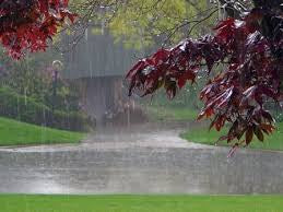 Soundscape Downpour Rain In Lake Relaxation Meditation Deep Sleeping Stress Reliefing Calming Natural Sounds CD