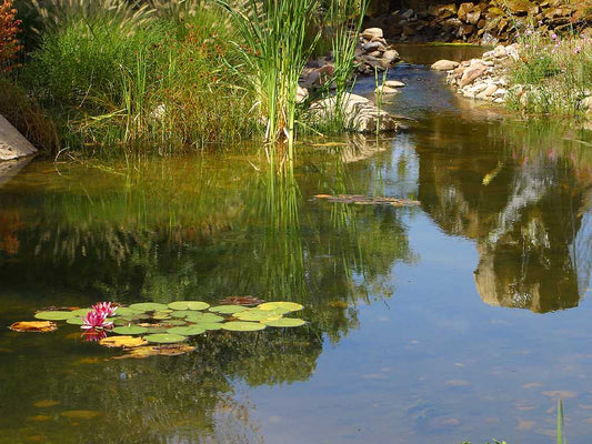 Soundscape Pond Relaxation Meditation Deep Sleeping Stress Reliefing Calming Natural Sounds CD