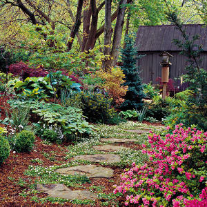 Soundscape Virginia Cottage Garden Relaxation Meditation Deep Sleeping Stress Reliefing Calming Natural Sounds CD